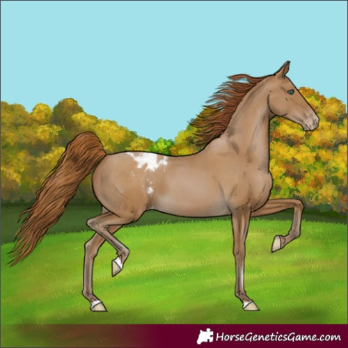 Horse Color:Gray Smoky Black Pearl Varnish