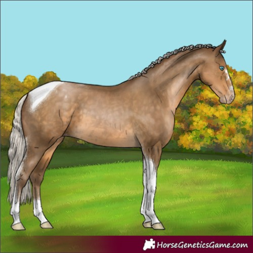 Horse Color:Gray Silver Smoky Black Pearl Tobiano Varnish 