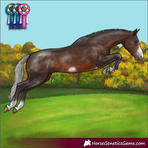 Horse Color:Silver Brown Tobiano Frame