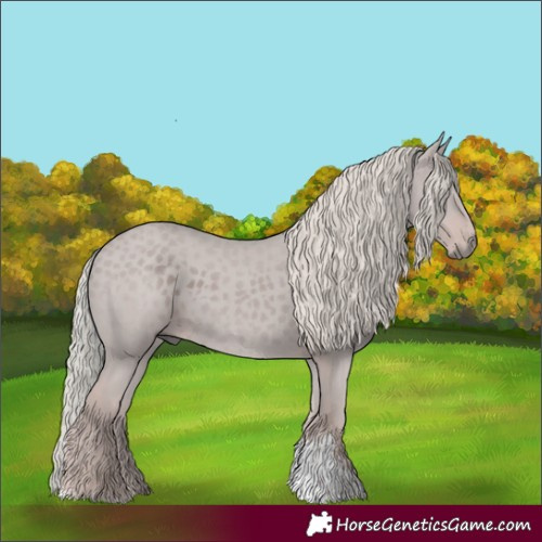 Horse Color:Silver Black Sabino 