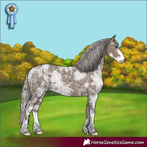Horse Color:Silver Brown Ice Dun Sabino 