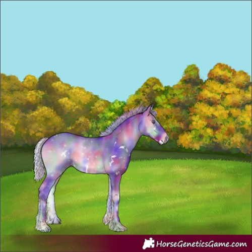 Horse Color:Nacre Watercolor White Spotted Silver Brown Chinchilla Onyx