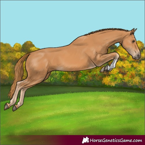 Horse Color:Unknown 