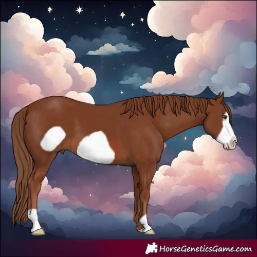 Horse Color:Chestnut Frame