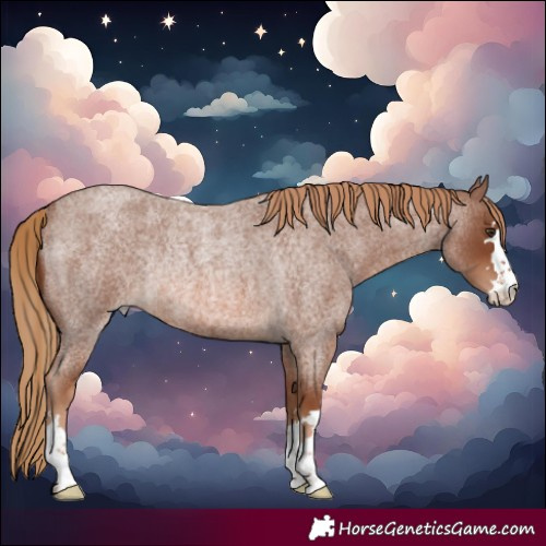 Horse Color:Red Roan Rabicano 