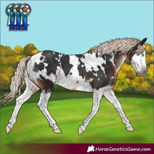 Horse Color:Gray White Spotted Liver Chestnut Mushroom Splash
