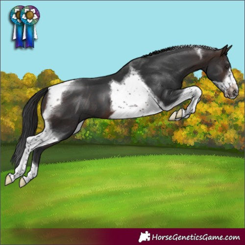 Horse Color:Brown Tobiano Frame 