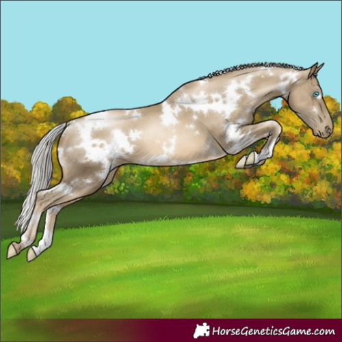 Horse Color:White Spotted Silver Smoky Black Pearl