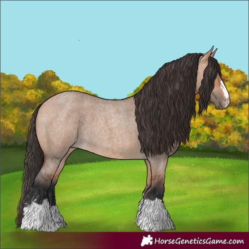 Horse Color:Bay Roan Dun 