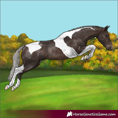 Horse Color:Silver Brown Tobiano Varnish Rabicano