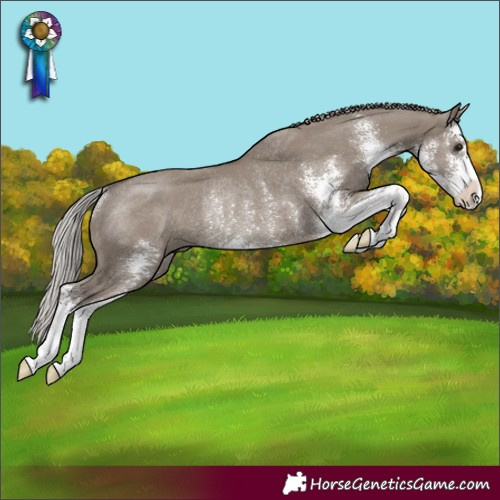 Horse Color:Silver Grullo Sabino Rabicano 