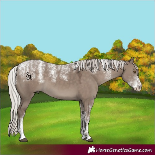 Horse Color:Powder White Silver Grullo