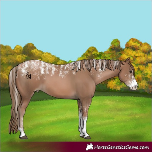 Horse Color:Powder White Black Pearl 