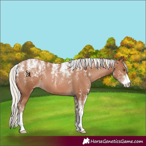 Horse Color:Powder White Silver Black Pearl