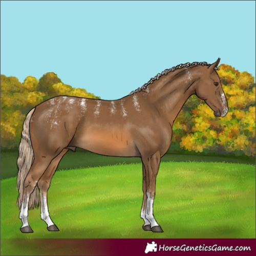 Horse Color:Powder White Chocolate Palomino Tobiano 