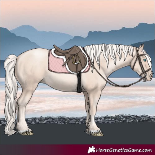 Horse Color:Gold Cream Champagne Pearl 
