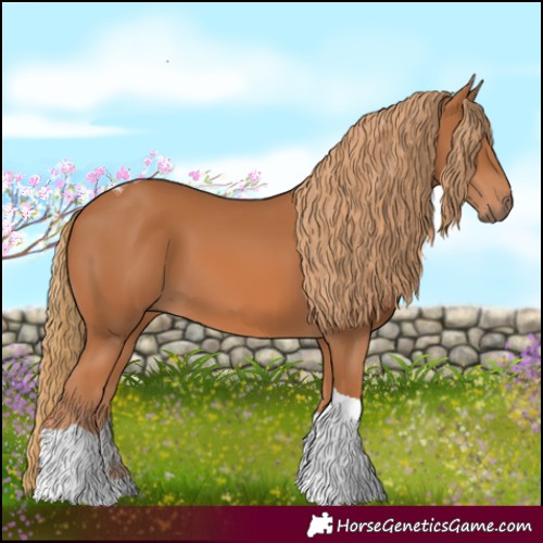 Horse Color:Chestnut Tobiano