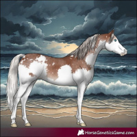 Horse Color:White Spotted Silver Black Splash 
