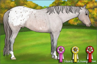 Horse Color:Bay Roan Appaloosa 