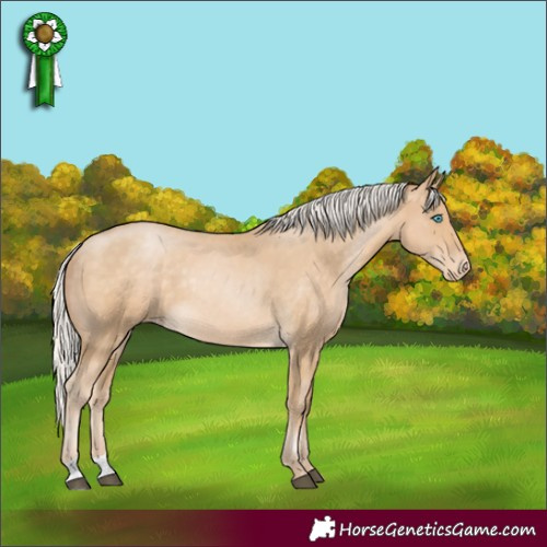 Horse Color:Silver Buckskin Skewed LP Spotted Rabicano 