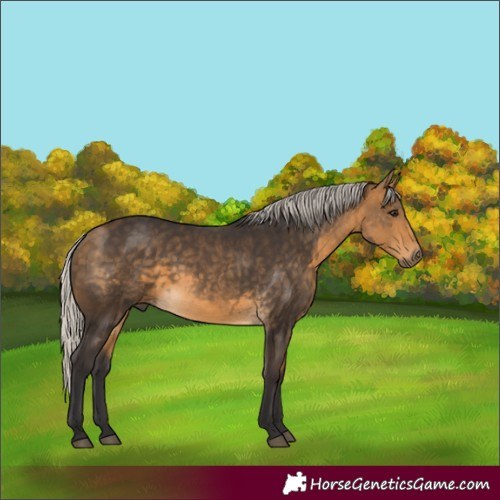 Horse Color:Silver Buckskin Rabicano