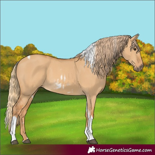 Horse Color:White Spotted Red Dun Rabicano and Red Dun Tobiano Rabicano