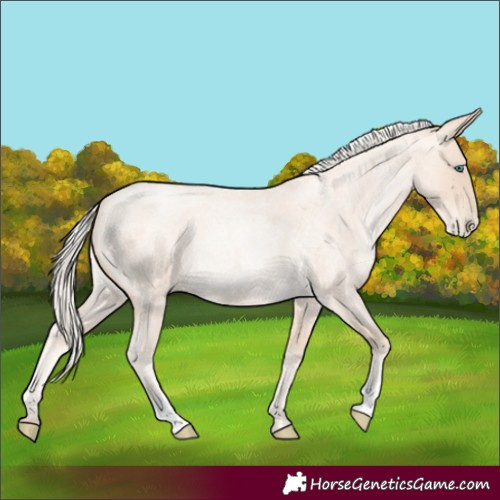 Horse Color:Gold Cream Champagne Roan Pearl 