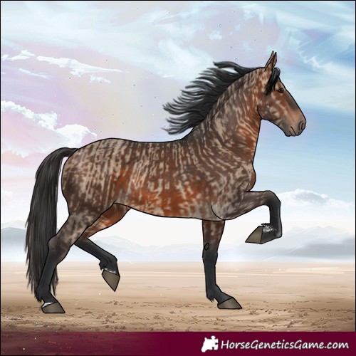 Horse Color:Brown Dun and Brown