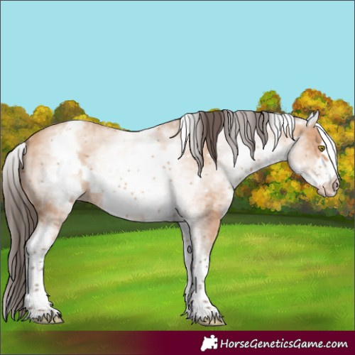 Horse Color:White Spotted Amber Champagne Frame
