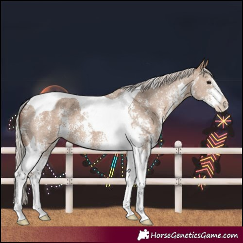 Horse Color:Silver Grullo Sabino Tobiano Varnish