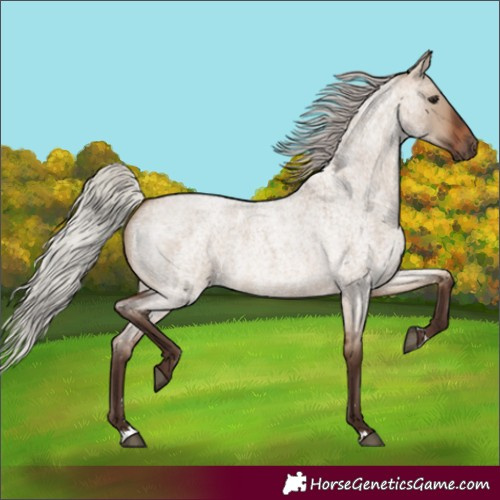 Horse Color:Silver Brown Roan Dun 