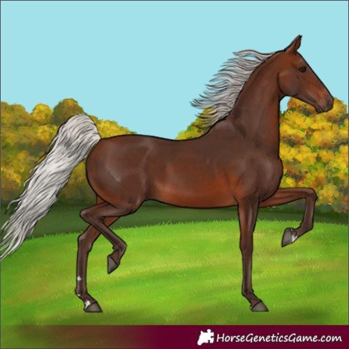 Horse Color:Silver Brown