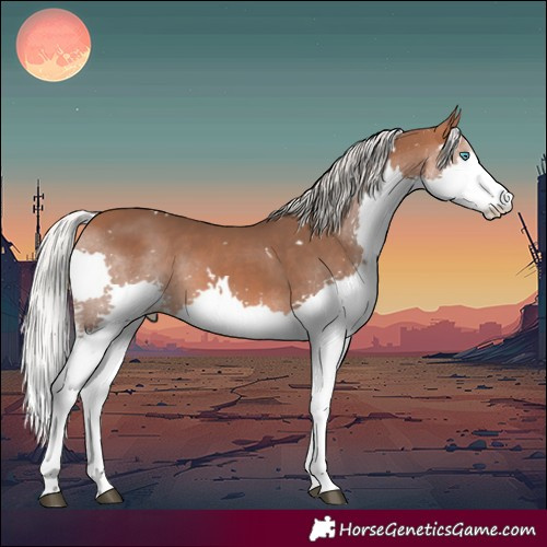 Horse Color:White Spotted Silver Bay Splash