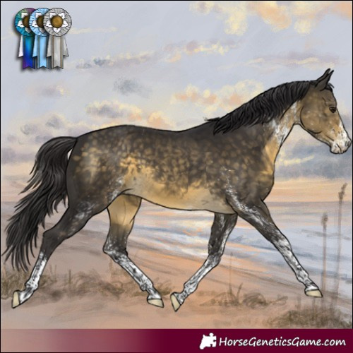 Horse Color:White Spotted Buckskin Mushroom 