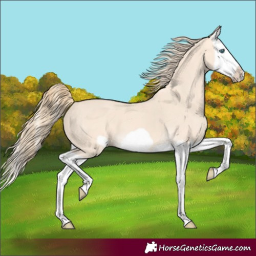 Horse Color:Perlino Splash Frame