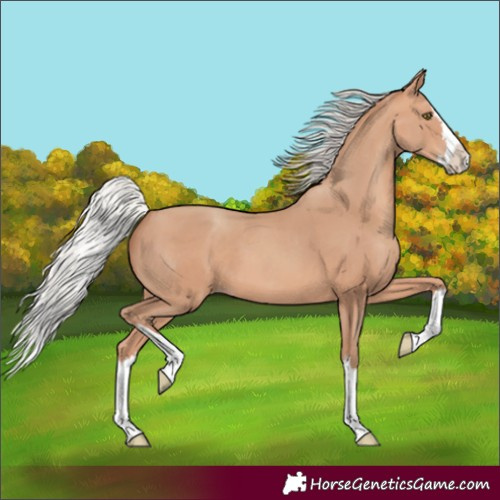 Horse Color:Silver Sable Champagne Splash