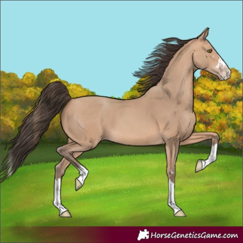 Horse Color:Amber Champagne Splash 