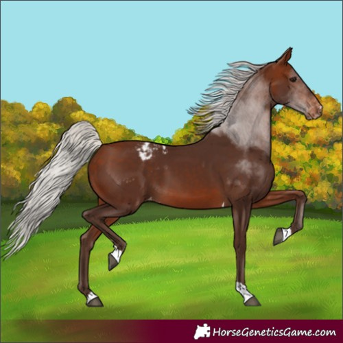 Horse Color:Silver Bay Tobiano Varnish 