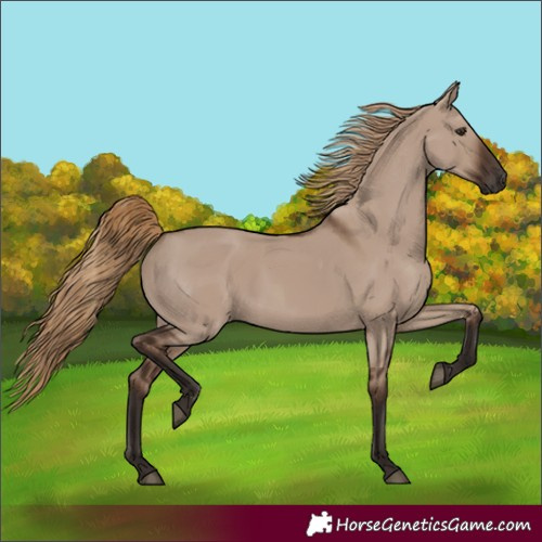 Horse Color:Liver Red Dun 
