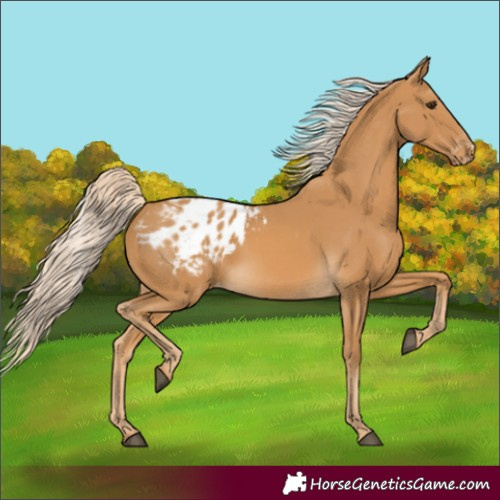 Horse Color:Palomino Varnish
