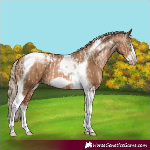 Horse Color:Chocolate Palomino Pearl Tobiano Frame  and Gray Chocolate Palomino Pearl Tobiano Frame 