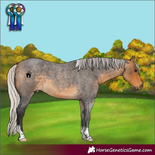 Horse Color:Silver Buckskin Roan Tobiano 