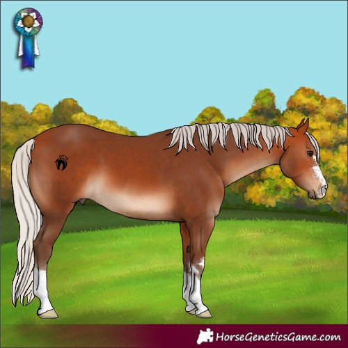 Horse Color:Silver Bay 