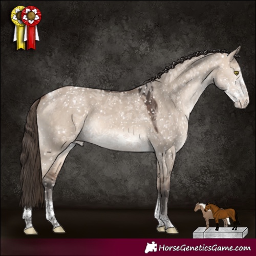 Horse Color:Bay Dun Mushroom Sabino Tobiano Varnish