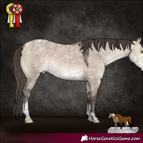 Horse Color:Bay Dun Mushroom Sabino Tobiano Varnish 