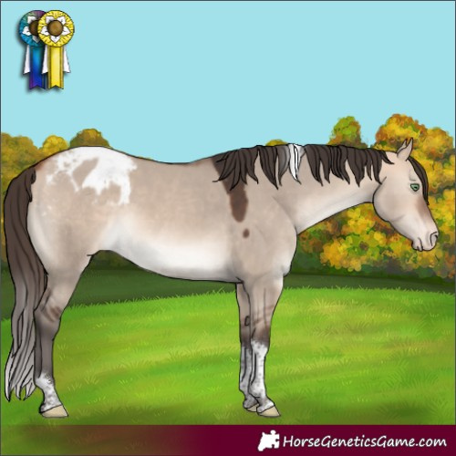 Horse Color:Bay Dun Mushroom Sabino Tobiano Varnish 
