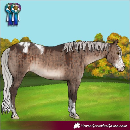 Horse Color:Silver Brown Dun Mushroom Sabino Tobiano Varnish Brindle 