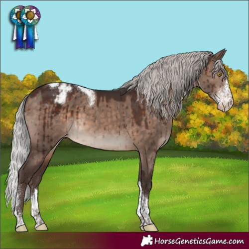 Horse Color:Silver Brown Dun Mushroom Sabino Tobiano Varnish Brindle 