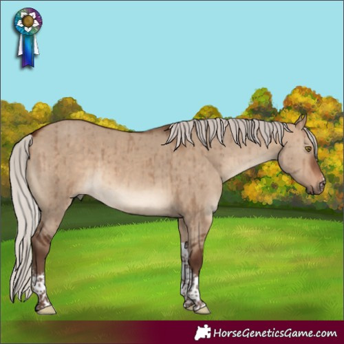 Horse Color:Silver Brown Dun Sabino Tobiano Brindle 