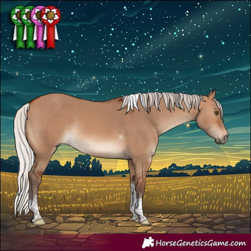 Horse Color:Silver Brown Dun Sabino Tobiano Rabicano 